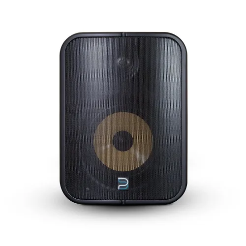 Сетевая активная двухполосная акустическая система 6,5" Bluesound Professional BSP1000 BLK