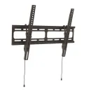Кронштейн настенный Wize WT55 для размера 32"-80"