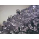 Оптический стереоскопический микроскоп Bresser Erudit ICD 20x/40x