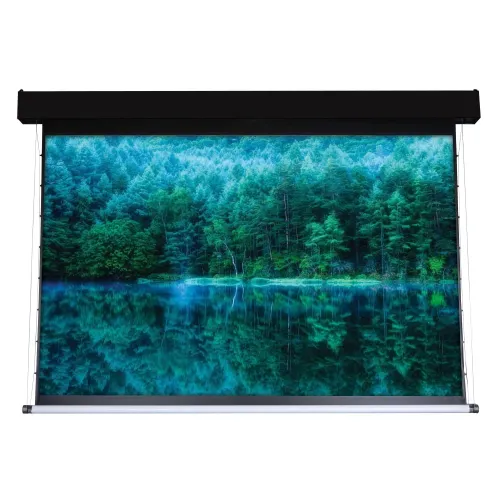 Экран с электроприводом ViewScreen Antis Pro ANP-4304 (4:3) 557x439 (545x409, MW) с пультом