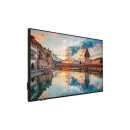 Профессиональная панель Vestel PN43D-4H