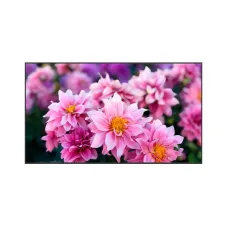 Профессиональная панель EliteBoard LK-110US2SN