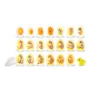 Развивающий игровой набор "Жизненный цикл цыплёнка" Learning Resources LER2733 (22 элемента)