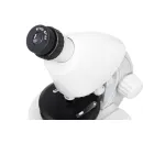 Оптический микроскоп Levenhuk Discovery Micro Polar с книгой