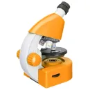Оптический микроскоп Levenhuk Discovery Micro Solar с книгой