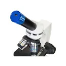Цифровой микроскоп Levenhuk Discovery Femto Polar с книгой