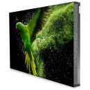 Профессиональная панель Barco 55" LVD-5521C