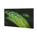 Профессиональная панель Dahua Technology DHI-LS550UEM-UG