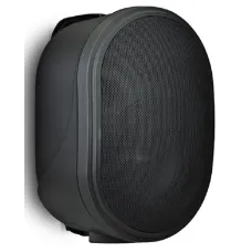 Настенная акустическая система Biamp OVO5T-BL Apart