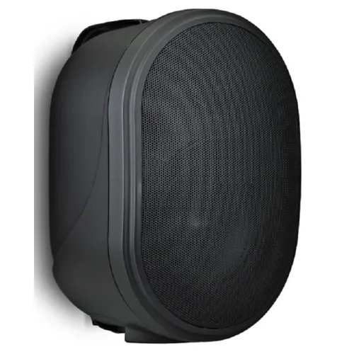 Настенная акустическая система Biamp OVO5T-BL Apart