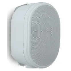 Настенная акустическая система Biamp OVO5T-W Apart