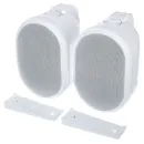 Настенная акустическая система Biamp OVO5T-W Apart