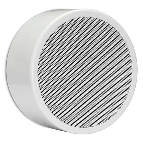 Настенная акустическая система BIAMP EN-SM6T10-W Apart