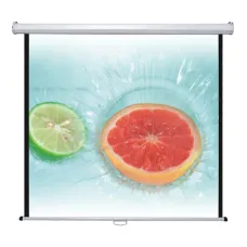 Экран настенный (1:1) 160x160 Rollerscreen Type D Medium 15603