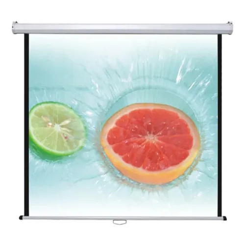 Экран настенный (1:1) 160x160 Rollerscreen Type D Medium 15603