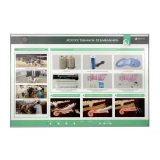 Интерактивный светодинамический стенд «Искусственное осеменение» Zarnitza