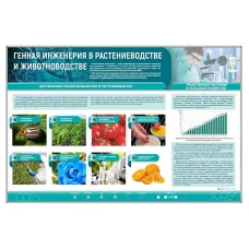 Сборный электрифицированный стенд "Генная инженерия в растениеводстве и животноводстве" Zarnitza