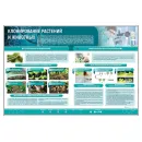 Сборный электрифицированный стенд "Клонирование растений и животных" Zarnitza