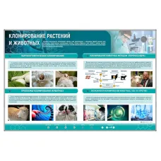 Сборный электрифицированный стенд "Клонирование растений и животных" Zarnitza