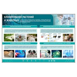 Сборный электрифицированный стенд "Клонирование растений и животных" Zarnitza