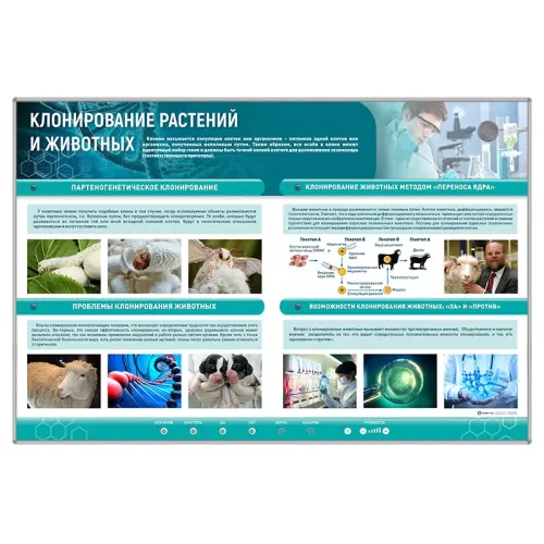 Сборный электрифицированный стенд "Клонирование растений и животных" Zarnitza