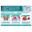 Сборный электрифицированный стенд "Методы биотехнологии в селекции растений и животных" Zarnitza