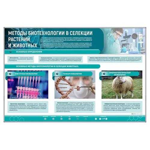 Сборный электрифицированный стенд "Методы биотехнологии в селекции растений и животных" Zarnitza