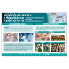 Сборный электрифицированный стенд "Редактирование геномов в растениеводстве и животноводстве" Zarnitza