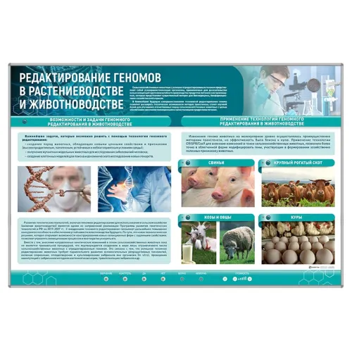 Сборный электрифицированный стенд "Редактирование геномов в растениеводстве и животноводстве" Zarnitza