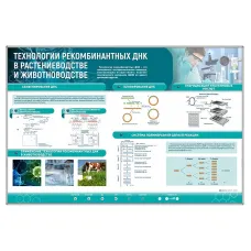 Сборный электрифицированный стенд "Технологии рекомбинантных ДНК в растениеводстве и животноводстве" Zarnitza