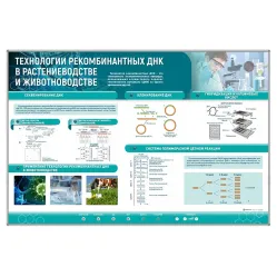 Сборный электрифицированный стенд "Технологии рекомбинантных ДНК в растениеводстве и животноводстве" Zarnitza