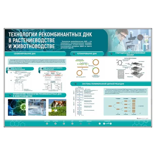Сборный электрифицированный стенд "Технологии рекомбинантных ДНК в растениеводстве и животноводстве" Zarnitza