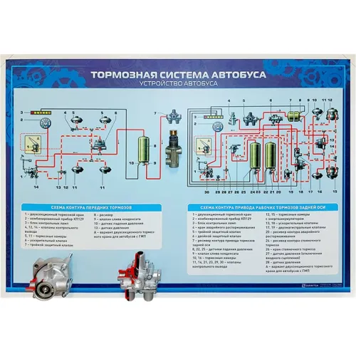 Стенд с разрезными агрегатами "Тормозная система автобуса" Zarnitza