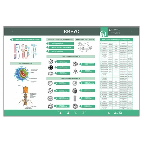 Электрифицированный стенд "Вирус" Zarnitza