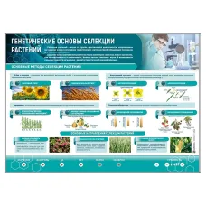 Электрифицированный стенд "Генетические основы селекции растений" Zarnitza