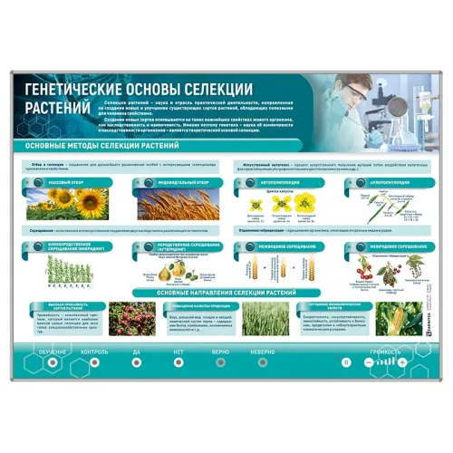 Электрифицированный стенд "Генетические основы селекции растений" Zarnitza