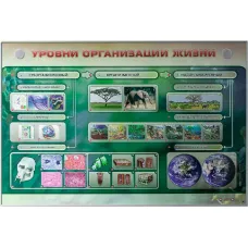 Электрифицированный стенд "Уровни организации жизни" Zarnitza
