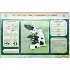 Электрифицированный стенд "Устройство микроскопа и правила работы c ним" Zarnitza
