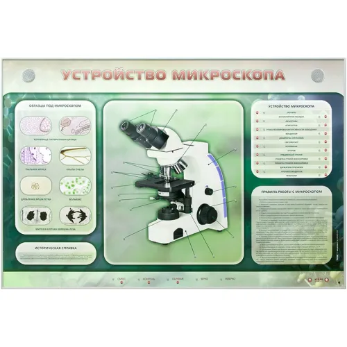 Электрифицированный стенд "Устройство микроскопа и правила работы c ним" Zarnitza