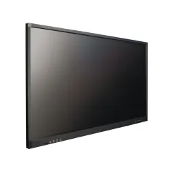 Интерактивная панель AlfaDispLay ADLEB-110 ST1