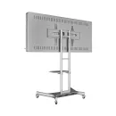 Интерактивная панель AxeTech Horizon Scan c документ-камерой 55" Medium