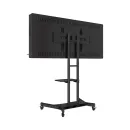 Интерактивная панель AxeTech Horizon Scan c документ-камерой 55" Medium