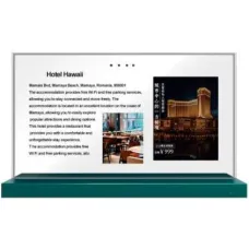 Настольный прозрачный сенсорный дисплей AlfaDispLay ADLDI-30TR OLED QTP6