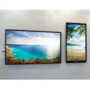 Интерактивная панель Ntab Wall Н 55"