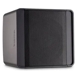 Настенная акустическая система Biamp KUBO5T-BL
