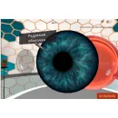 Мобильный класс виртуальной реальности PolyVR-24