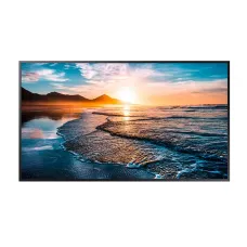 Профессиональная панель Hisense 55DM66D