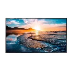 Профессиональная панель Hisense 55DM66D