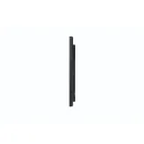 Профессиональная панель Hisense 55DM66D