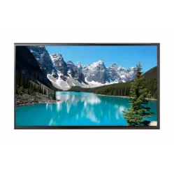 Профессиональная панель EWIN 50" DE50A